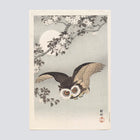 Petit-duc, cerisiers en fleurs et lune (1926)